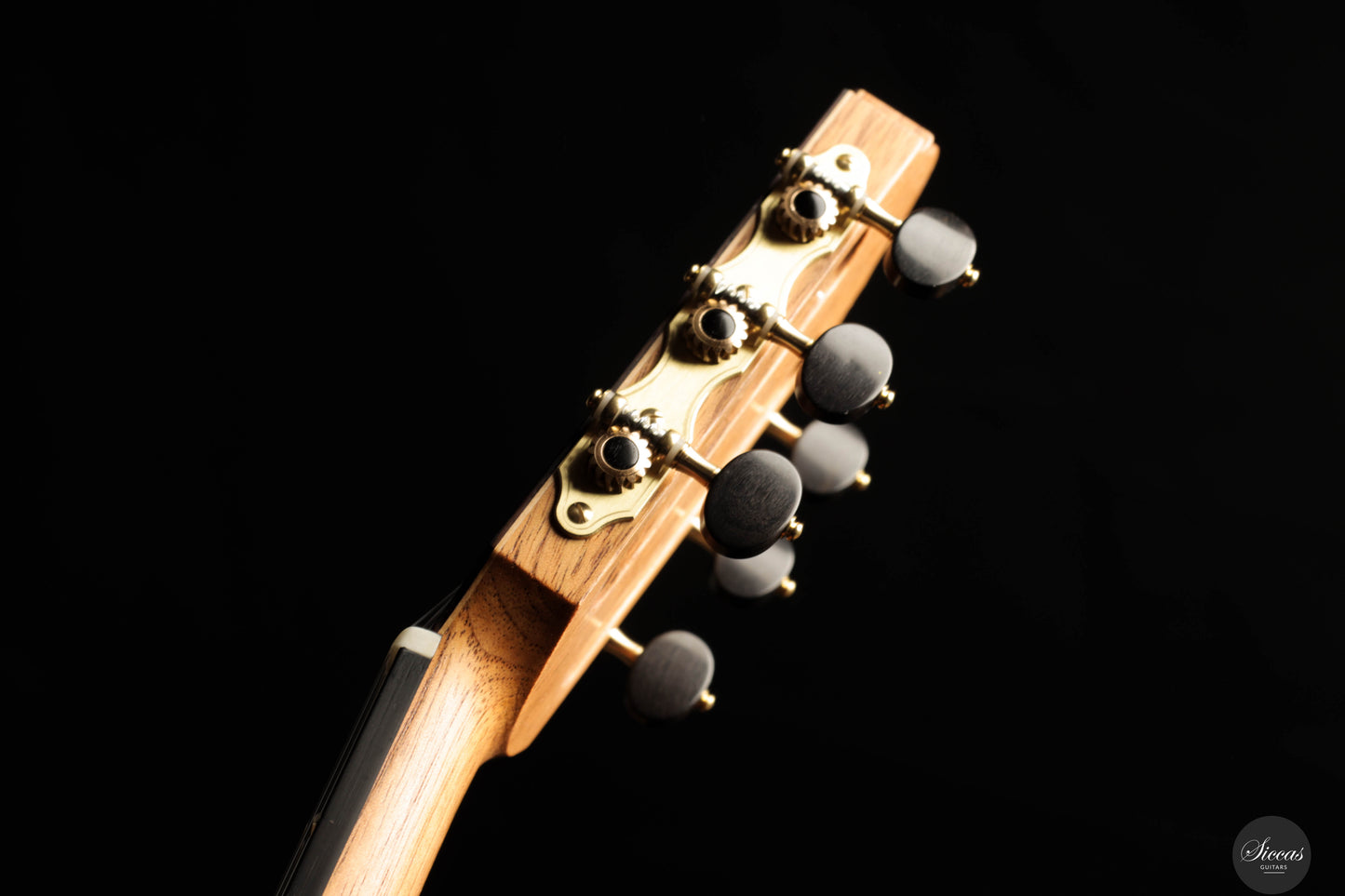 Silvia Zanchi - 2025 - REG Limited Edition Doubletop