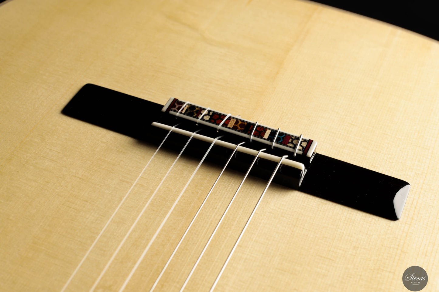 Silvia Zanchi - 2025 - REG Limited Edition Doubletop