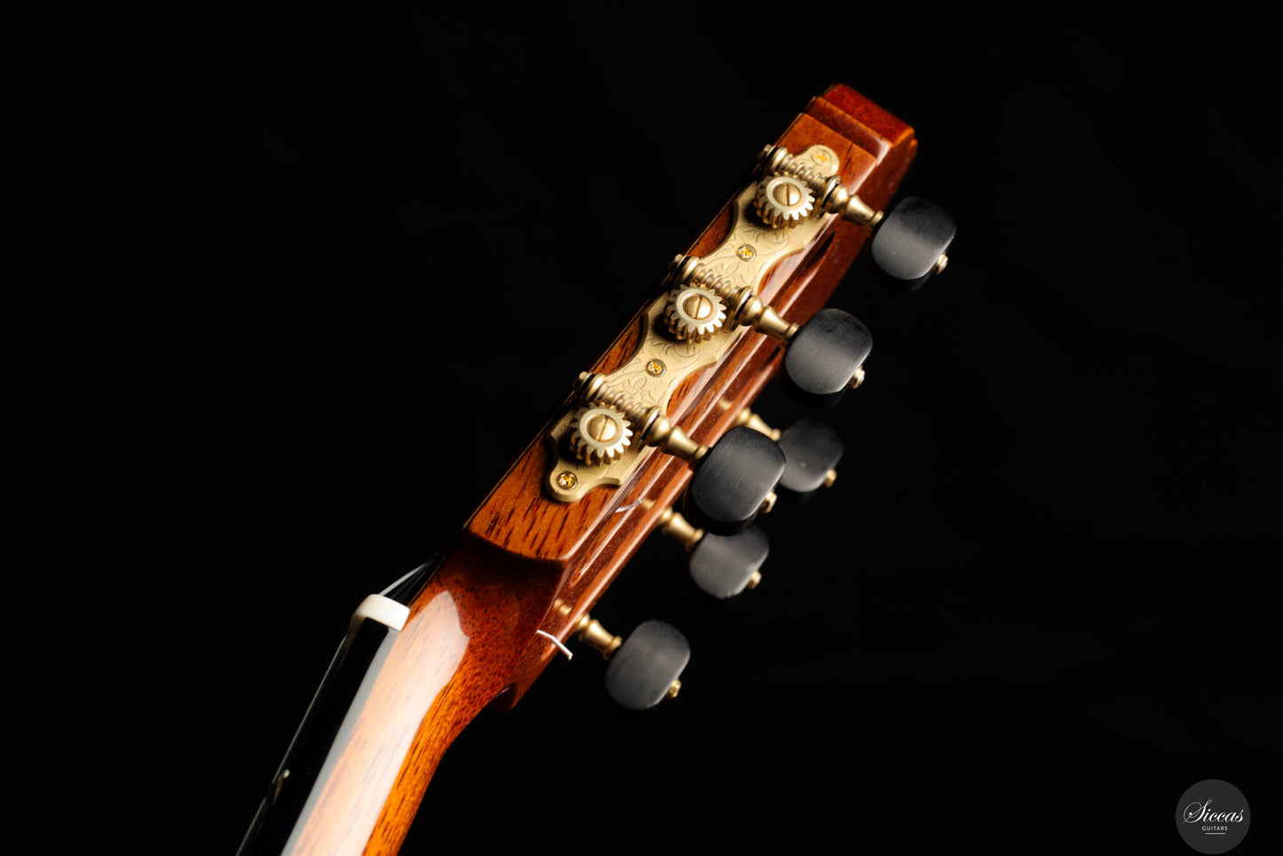 So Kimishima - Sol Cedar 64 cm