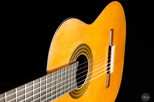 Tan Tan - Hardcore Master Workshop 2025 Doubletop ON HOLD img-2