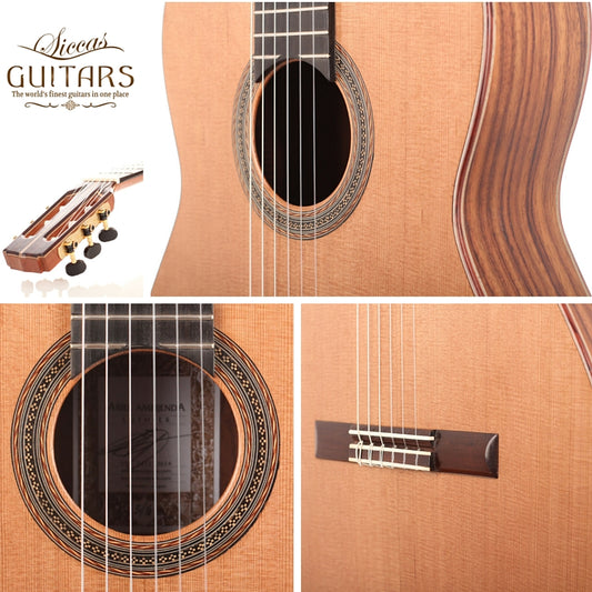 Ariel Ameijenda - 2016 img-2