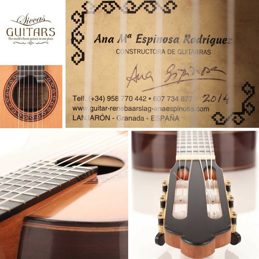 Ana Espinosa - 2014 64 cm img-2