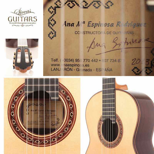 Ana Espinosa - 2013 img-2