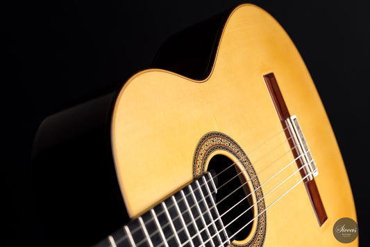 Vicente Carrillo - 2021 "Herencia Madagascar" 63 cm img-2