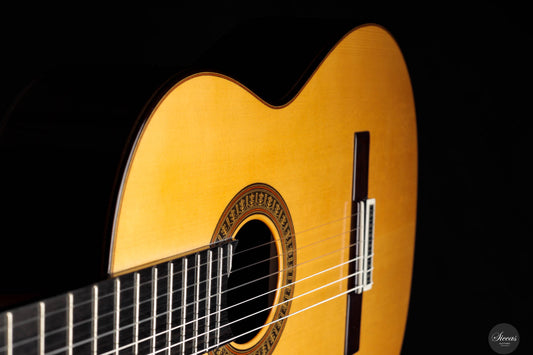 Vicente Carrillo - Fichte "Herencia India" img-2