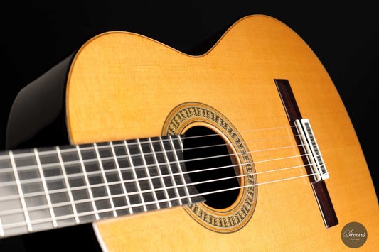 Vicente Carrillo - Zeder "Herencia India" img-2