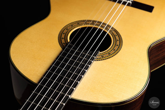 Vicente Carrillo - "India Primera" img-2