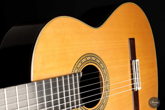 Vicente Carrillo - 2022 "India Primera" img-2