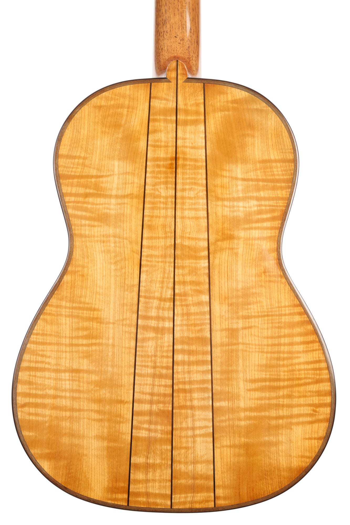 Wolfgang Jellinghaus - "Torres 43" Fichte / Ahorn 64cm/49mm