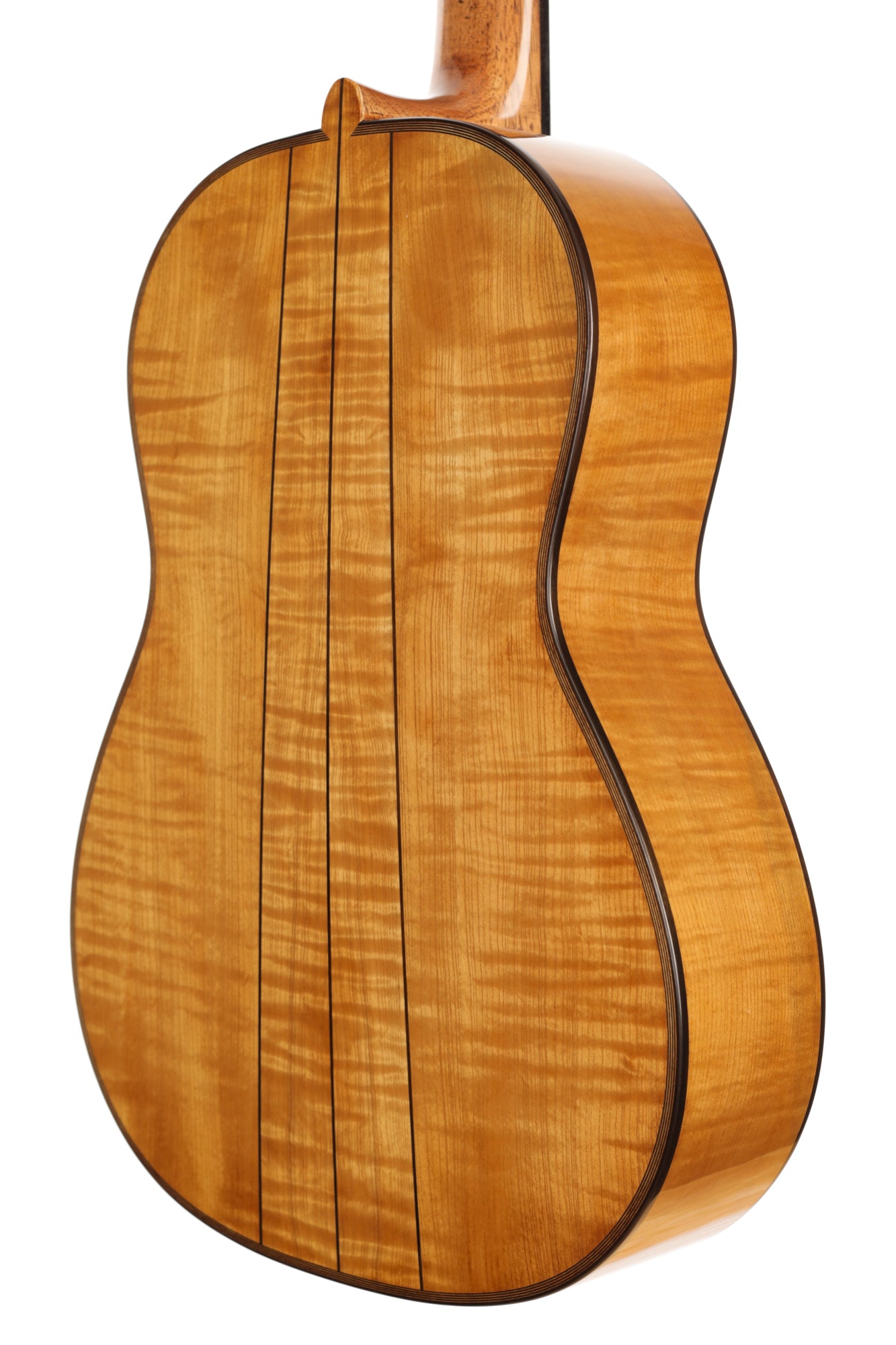 Wolfgang Jellinghaus - "Torres 43" Fichte / Ahorn 64cm/49mm
