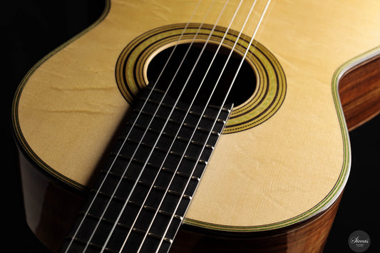 Wolfgang Jellinghaus - Antonio de Torres FE 13 img-2