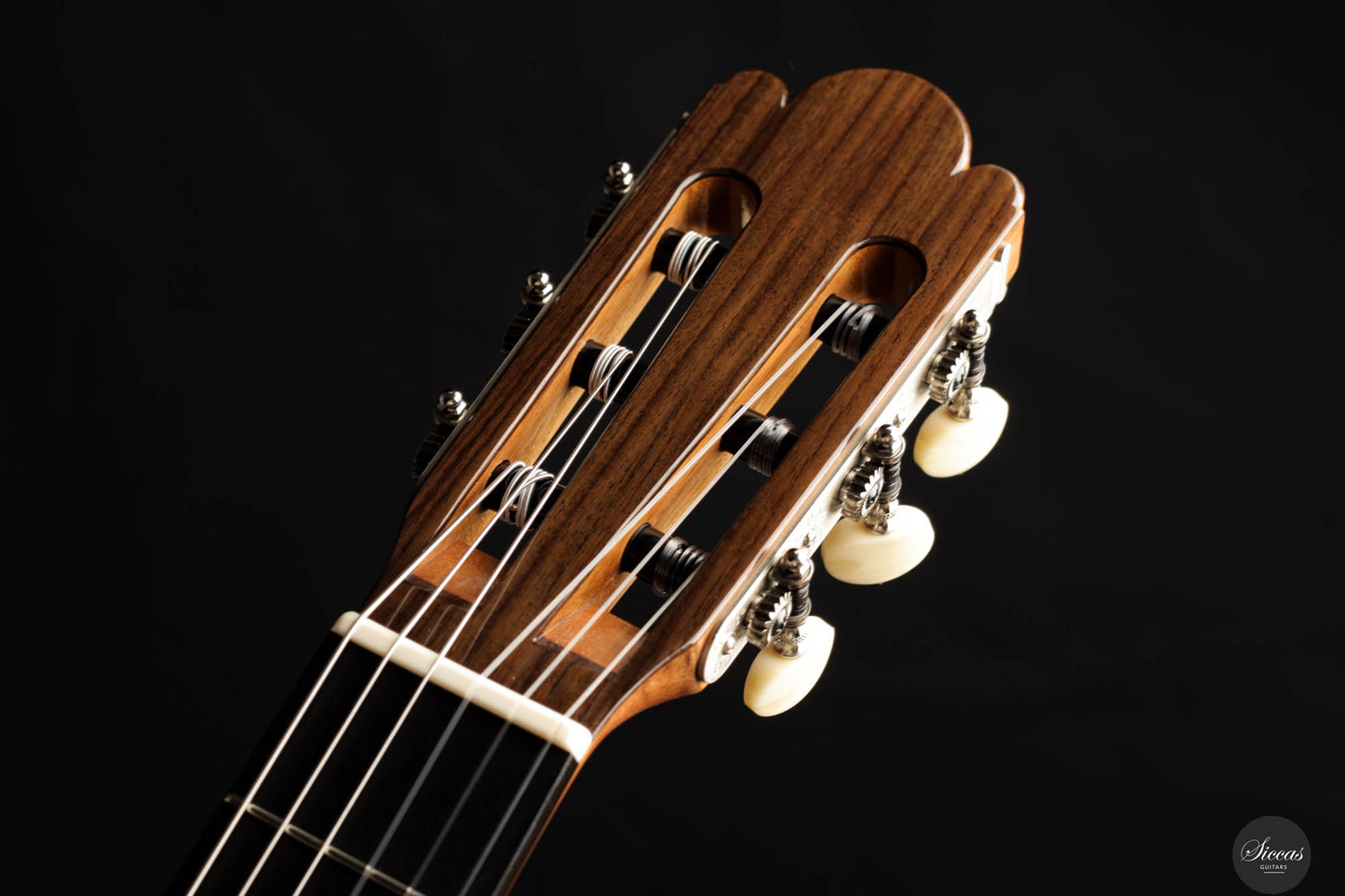 Wolfgang Jellinghaus - Antonio de Torres FE 17 A Indian Rosewood 63 cm