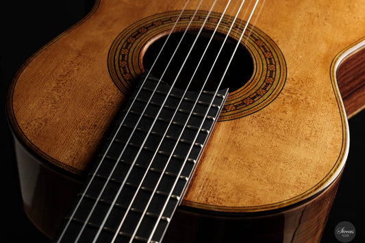 Wolfgang Jellinghaus - Antonio de Torres FE 17 A Indian Rosewood 63 cm img-2