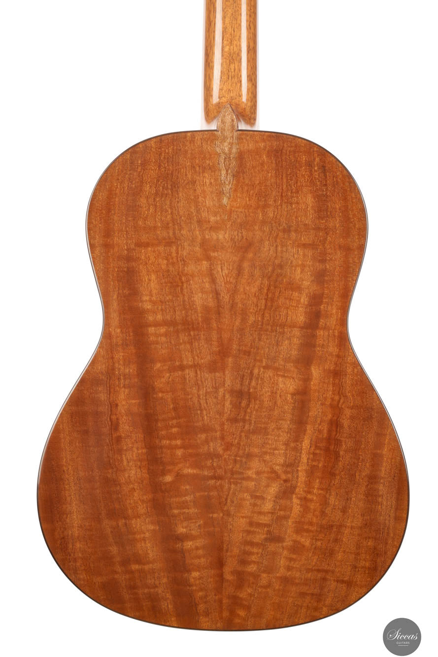 Wolfgang Jellinghaus - Antonio de Torres SE 115