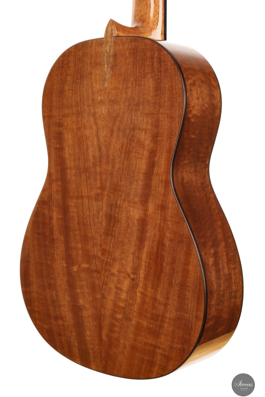 Wolfgang Jellinghaus - Antonio de Torres SE 115