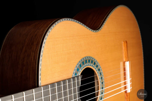 Wolfgang Jellinghaus - "Conservatory" img-2