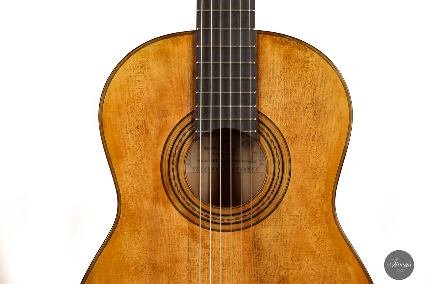 Wolfgang Jellinghaus - "Torres 114" Cypress