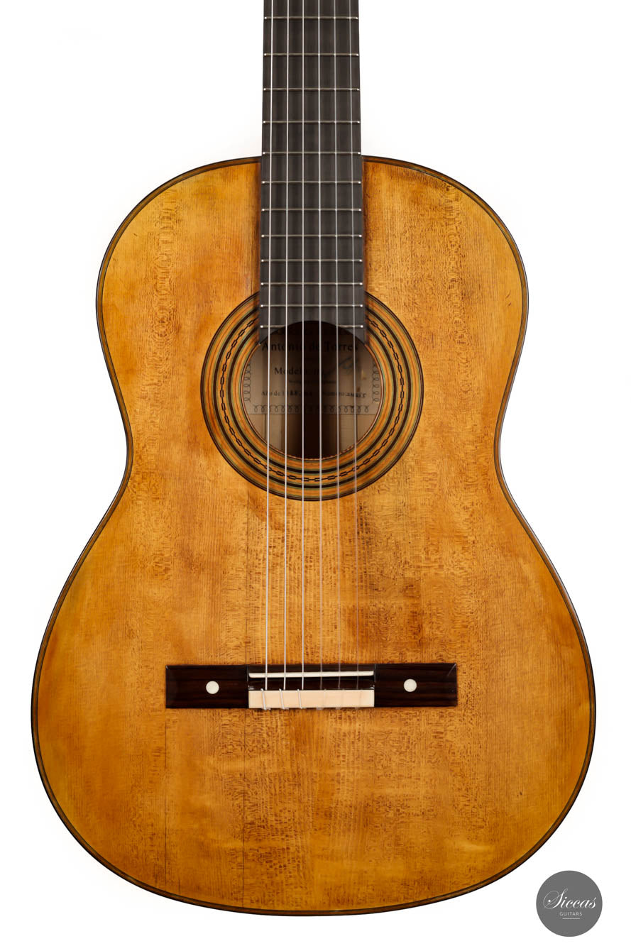 Wolfgang Jellinghaus - "Torres 114" Cypress