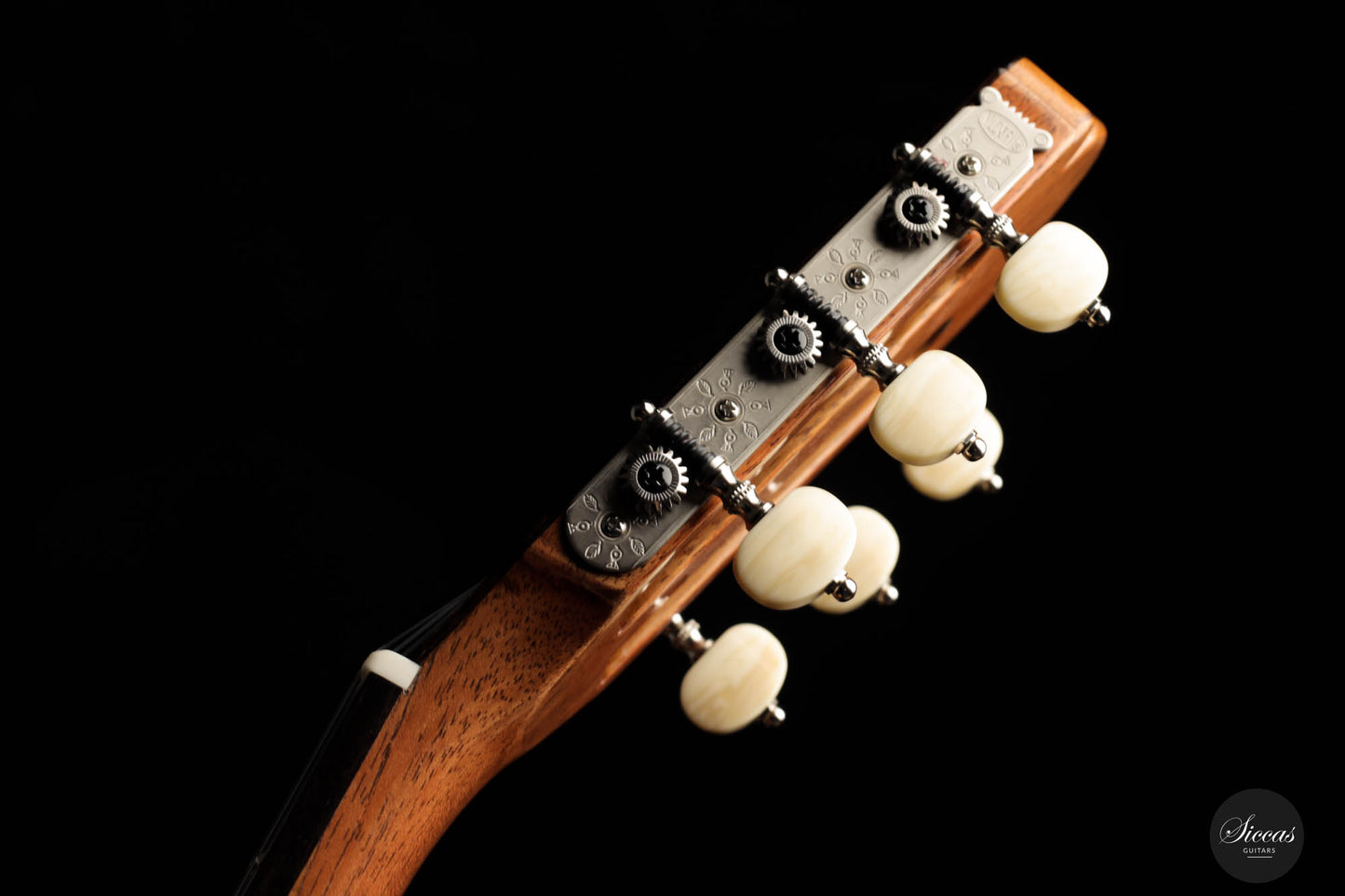 Wolfgang Jellinghaus - "Torres 114" Cypress