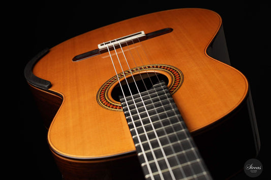 Yulong Guo - Chamber Concert Doubletop Lefthand