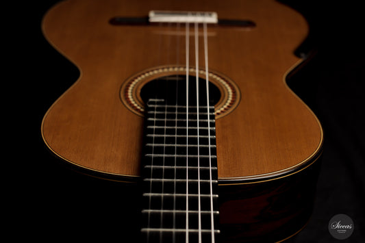 Yulong Guo - 2021 Concert Cedar/Ziricote