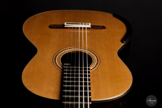 Yulong Guo - 2021 Concert Cedar/Ziricote img-2