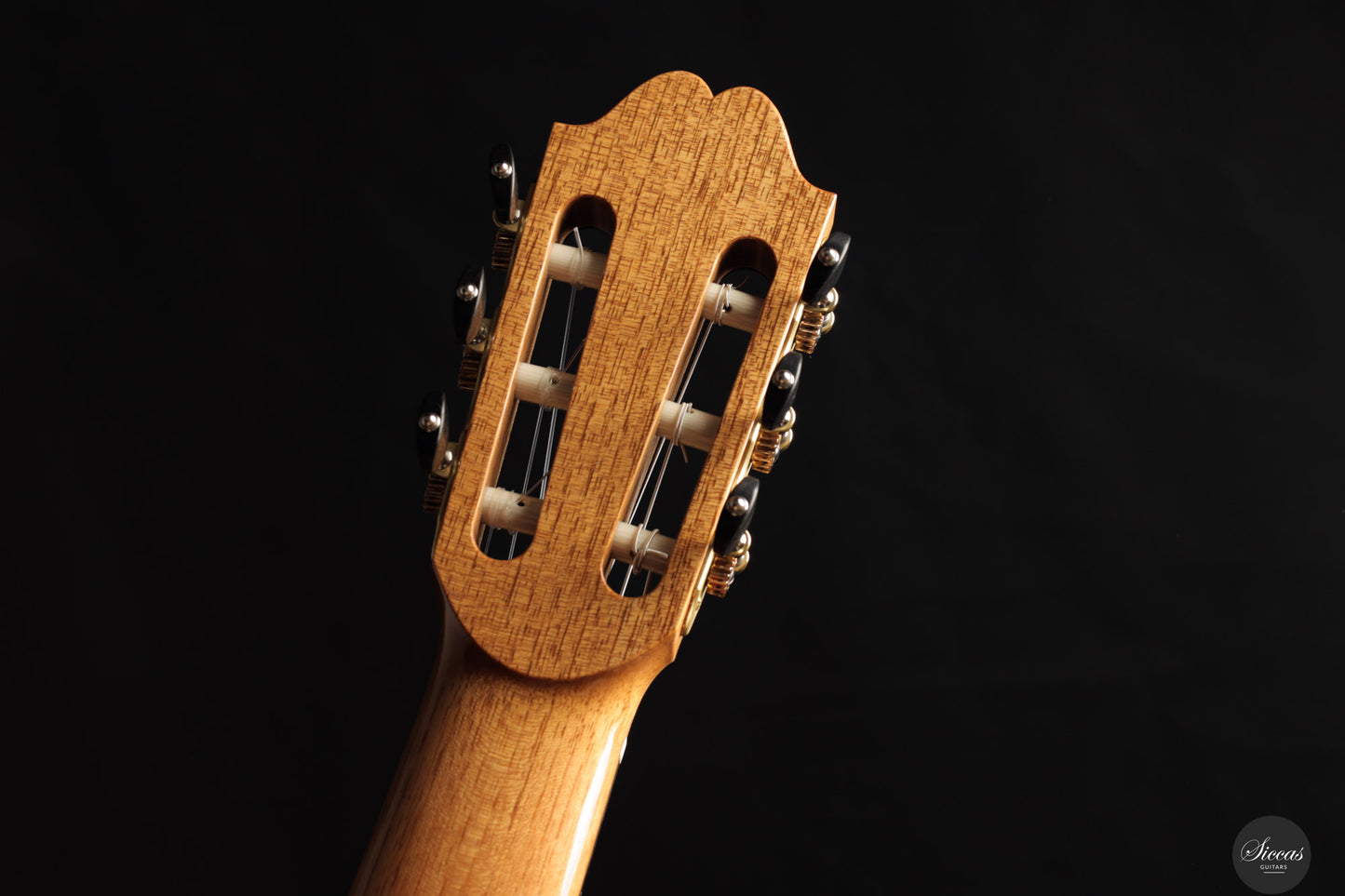 Zbigniew Gnatek - 2025 64 cm