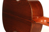 Paulino Bernabe - Especial 2008