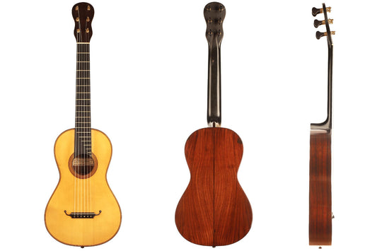 Ulrich Müller - 2012 img-2