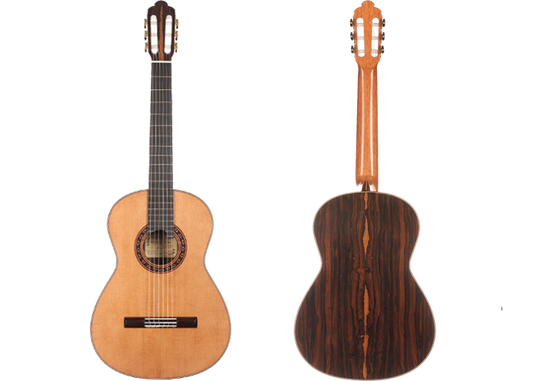 Ana Espinosa - 2017 CF img-2