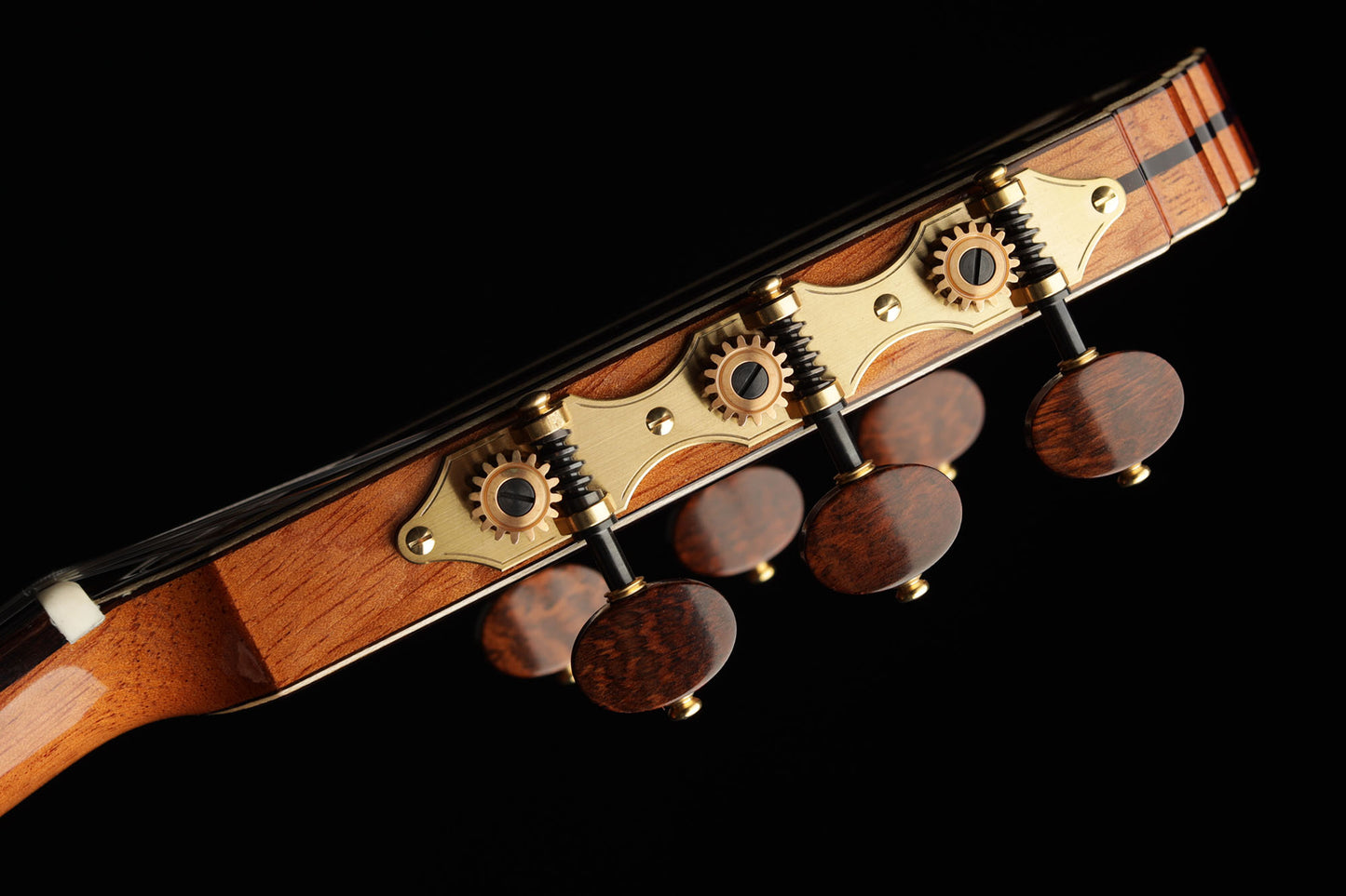 Armin Hanika – 1a Doubletop CF