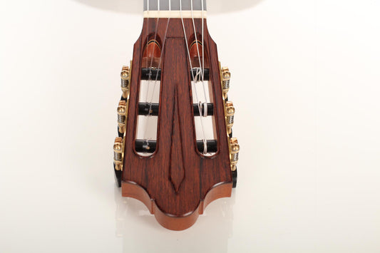 Benaja Ismael - Friederich 2011 img-2