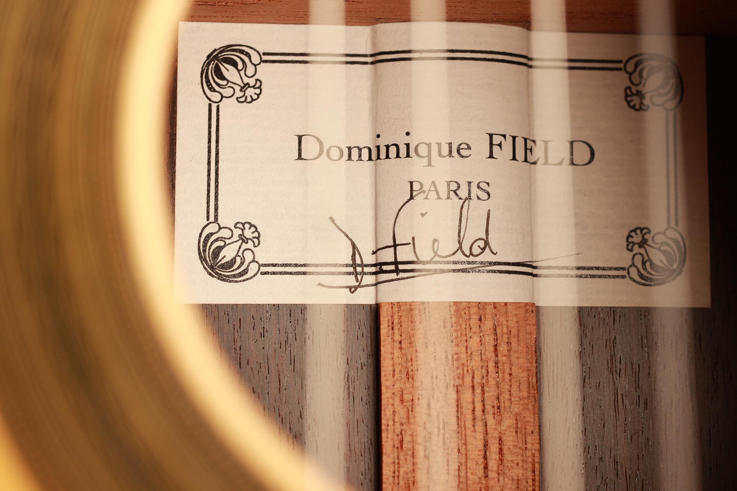 Dominique Field - 2016
