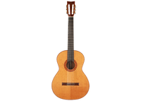 Fabien Ballon - 2012