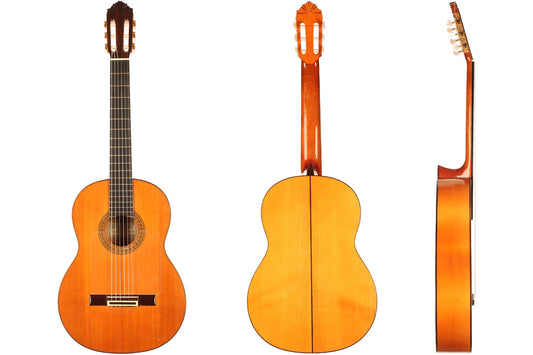 Gerundino Fernandez -1991 img-2