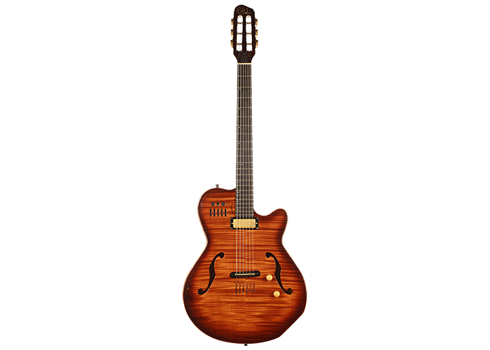 【希少】GODIN MULTIAC JAZZ SA セミアコースティックギター Godin Multiac Jazz SA – Siccas Guitars