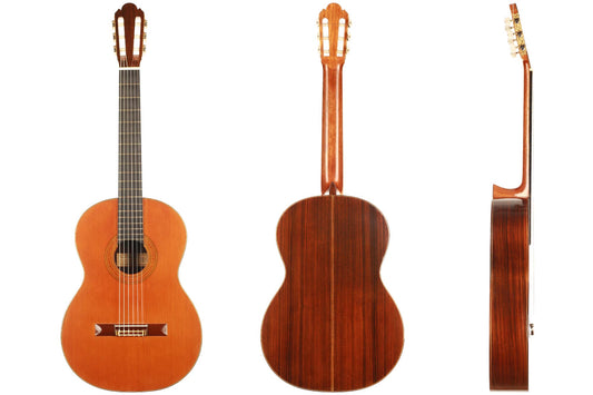 Ignacio Fleta - 1973 img-2