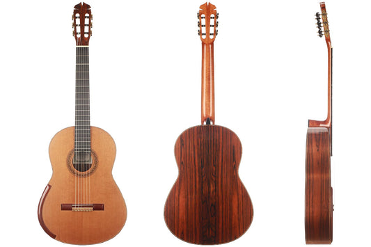 Jim Redgate - 2010 "Ana Vidovic" img-2