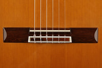 Sakurai Kohno - 2018 Professional J Cedar