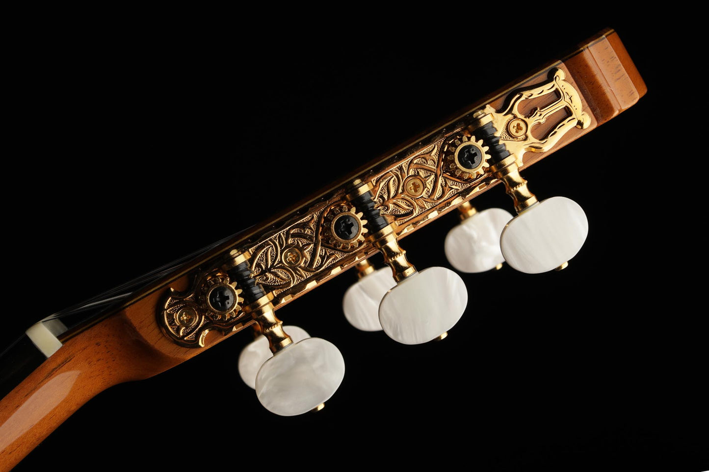 Sakurai Kohno - 2018 Professional J Spruce