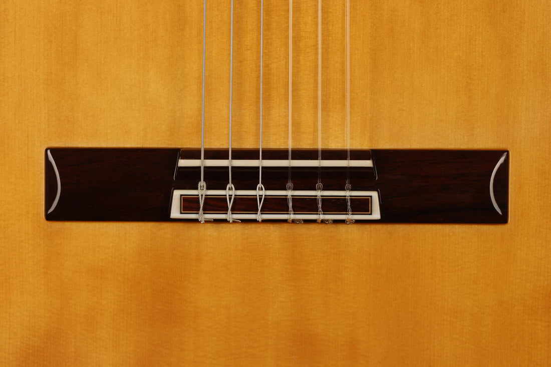 Sakurai Kohno - 2019 Professional J