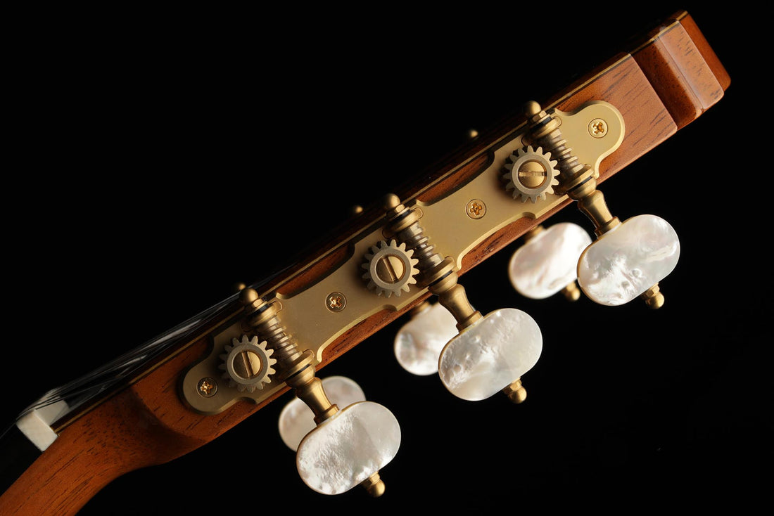 Sakurai Kohno - 2018 Special Cedar
