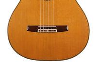 Sakurai Kohno - 2018 Special Cedar