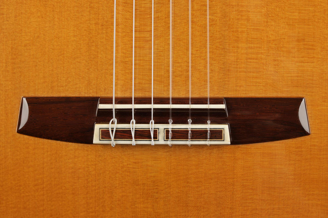 Sakurai Kohno - 2018 Special Cedar