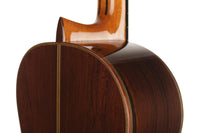 Sakurai Kohno - 2018 Special Cedar