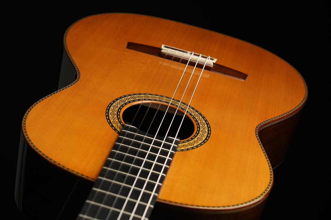 Sakurai Kohno - 2018 Special Cedar
