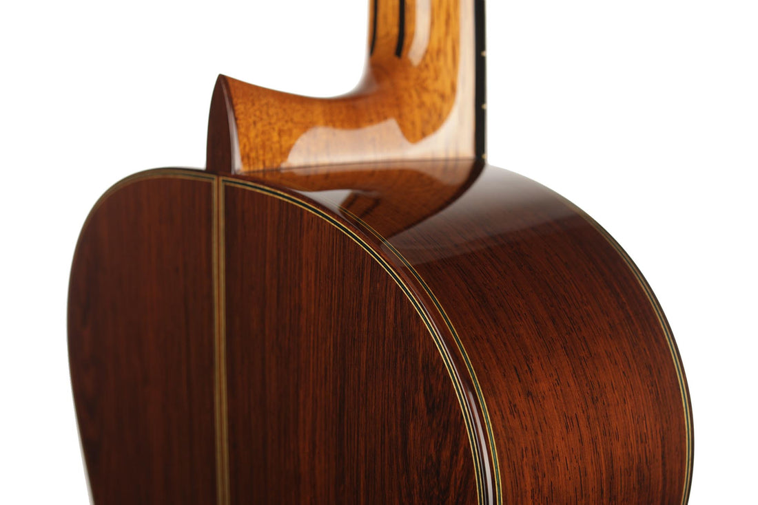 Sakurai Kohno - 2018 Special Spruce