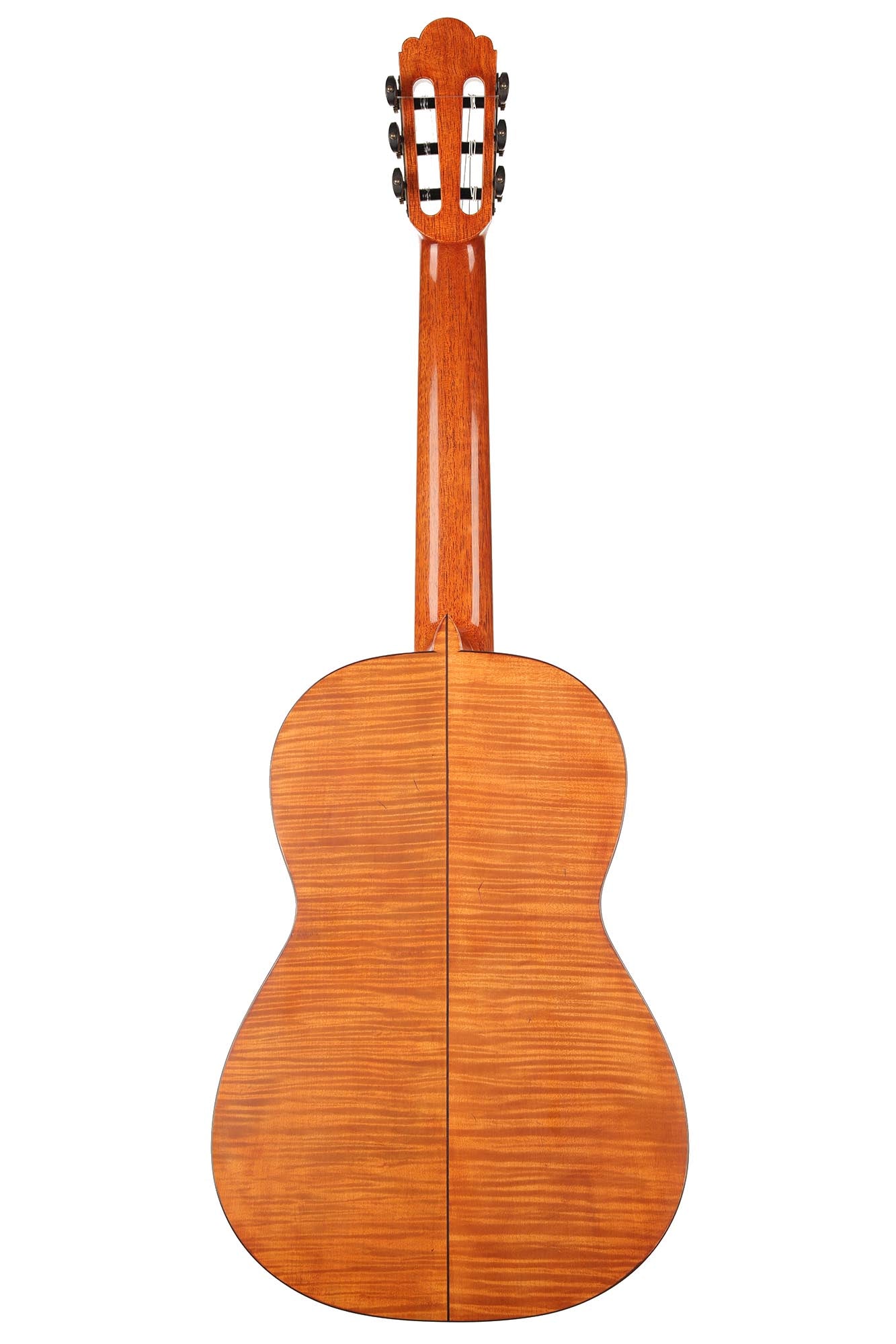 La Cañada - 17A Maple 64 cm