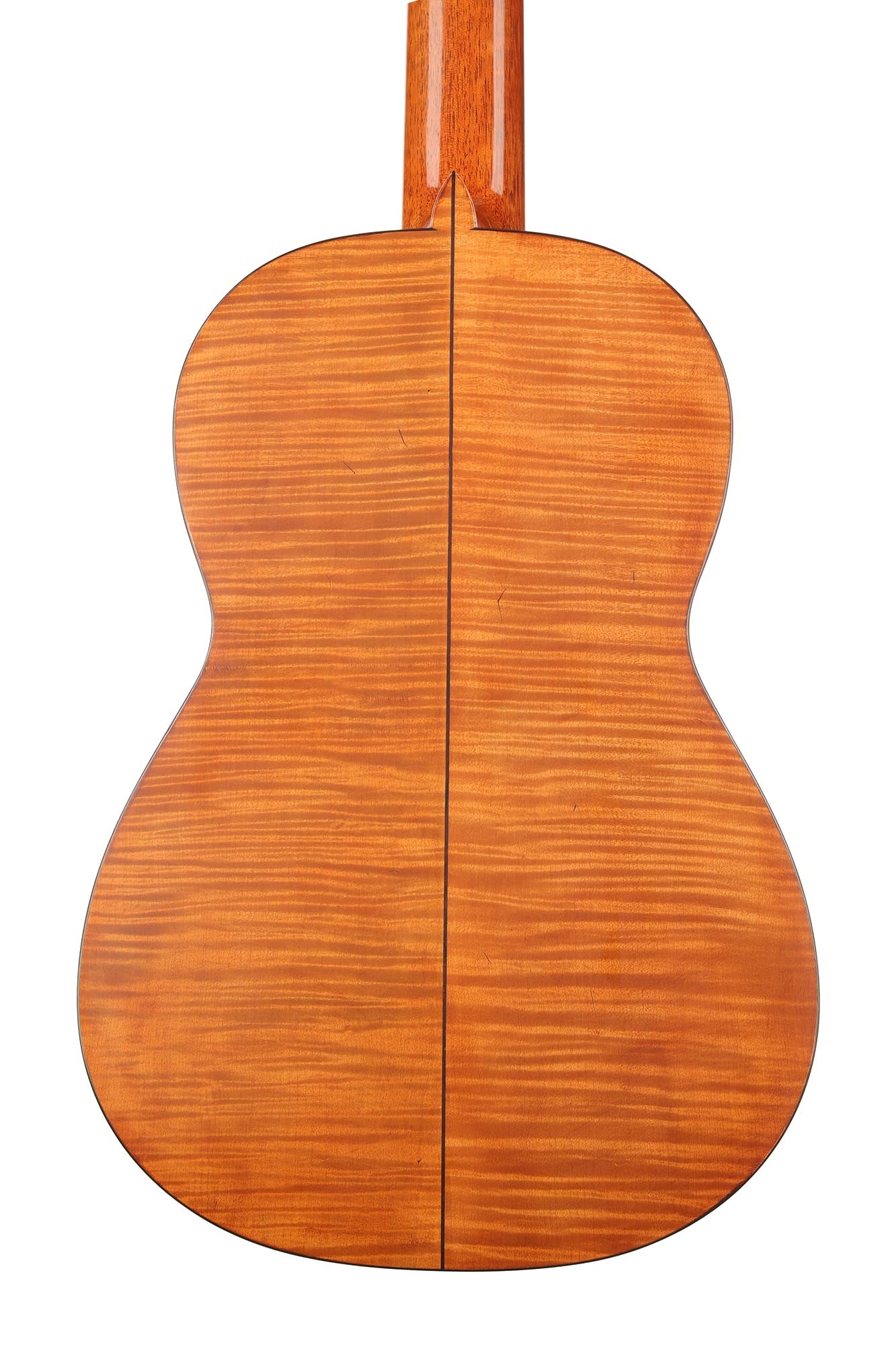 La Cañada - 17A Maple 64 cm