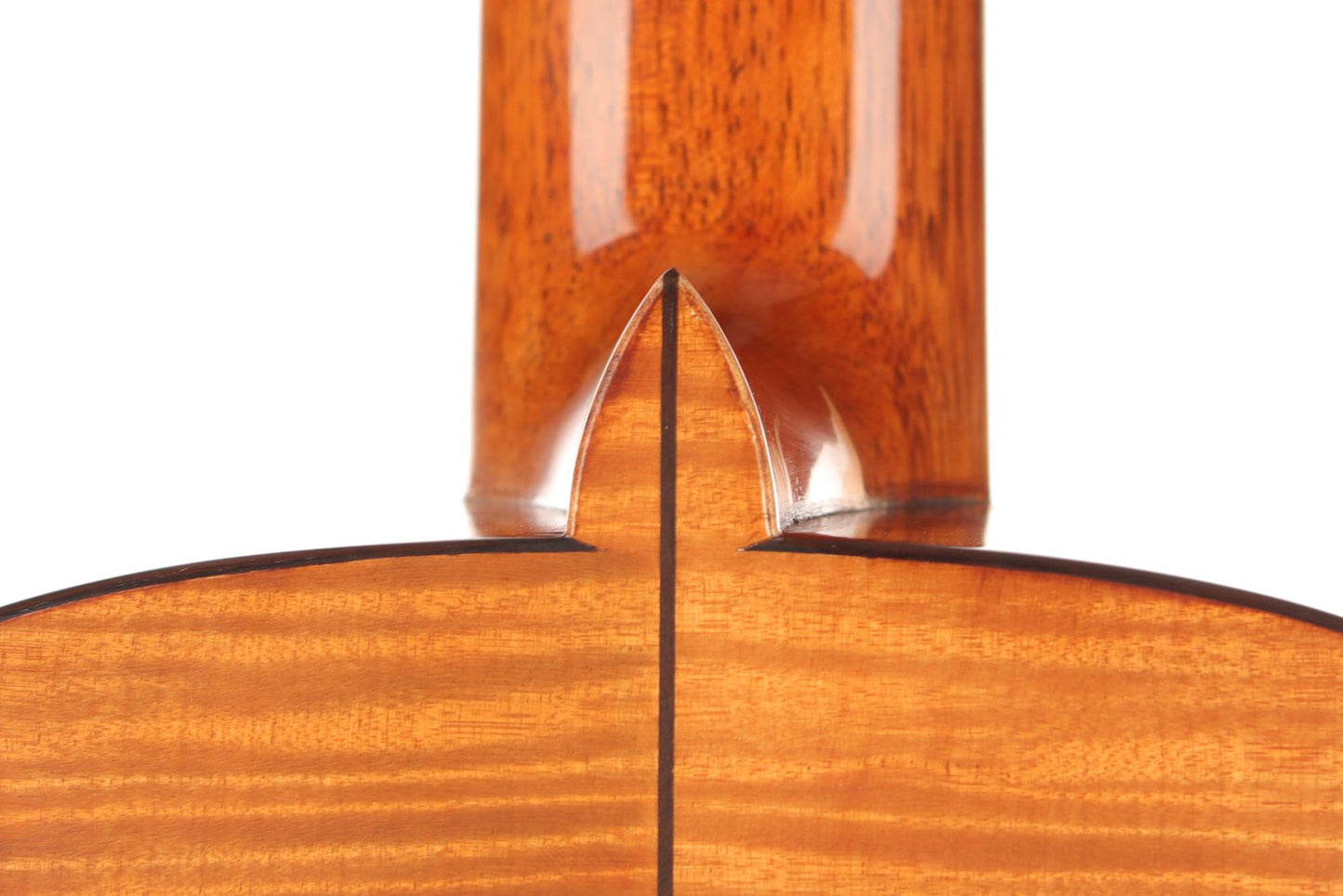 La Cañada - 17A Maple 64 cm